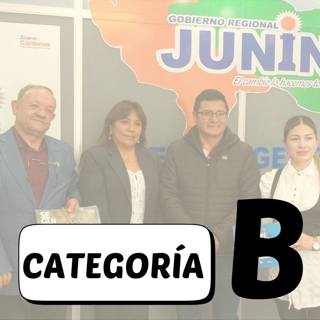 CATEGORÍA B